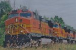 BNSF 4659 West